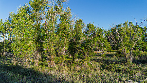 Lot5&6_JGPhoto-6