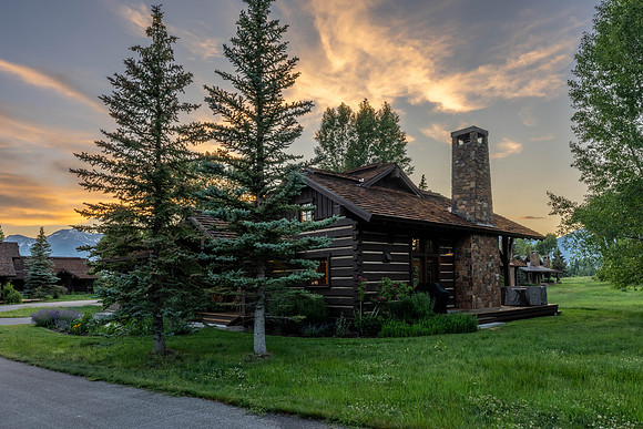 5862ConeflowerTwilight_JGPhoto-17