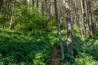 Lot40SnowKing_JGPhoto-7