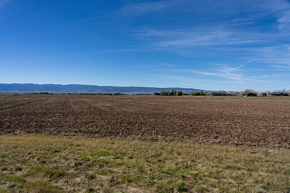 RoyalDr_JGPhoto (21 of 24)