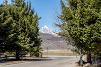40NelsonDr_JGPhoto-6