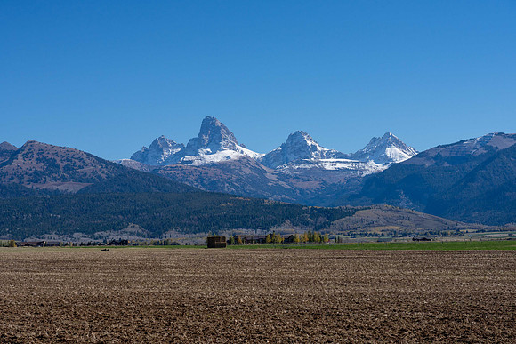 MLS_RoyalDr_JGPhoto (14 of 24)