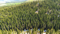 6600PaintbrushDrone_JGPhoto-1