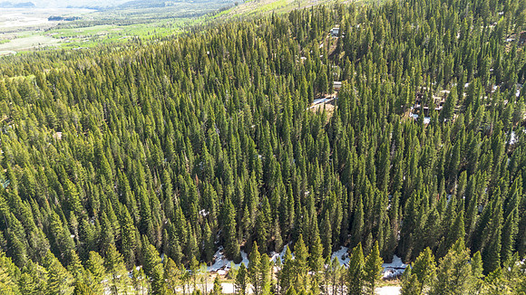 6600PaintbrushDrone_JGPhoto-1