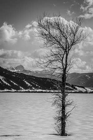 Jackson Peak
