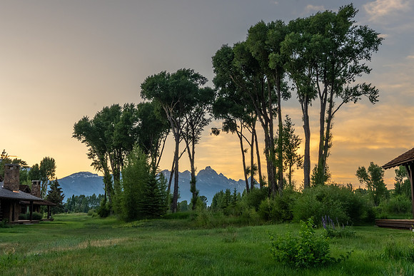 5862ConeflowerTwilight_JGPhoto-11