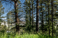 Lot40SnowKing_JGPhoto-8