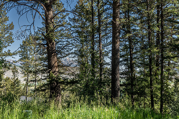 Lot40SnowKing_JGPhoto-8