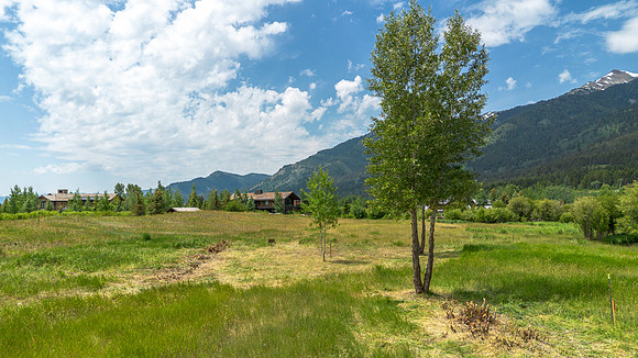 Lot38_04