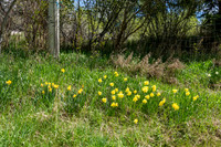 10290Hwy89_JGPhoto-6