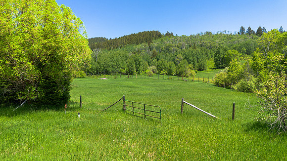 LeverSpring_JGPhoto-89