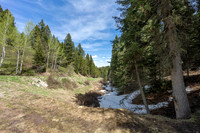 6600Paintbrush_JGPhoto-4