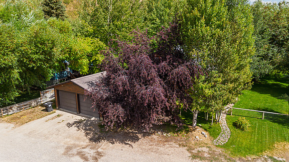 640CedarDrone_JGPhoto-2