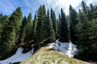 6600Paintbrush_JGPhoto-3