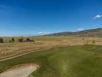 SilverFox_JGPhoto-3