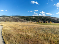 SilverFox_JGPhoto-1