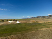 SilverFox_JGPhoto-4 copy
