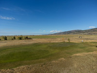 SilverFox_JGPhoto-4