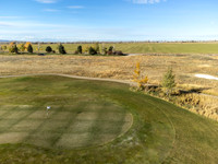 SilverFox_JGPhoto-5