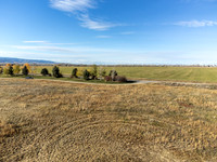 SilverFox_JGPhoto-6