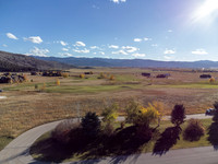 SilverFox_JGPhoto-8