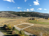 SilverFox_JGPhoto-10 copy
