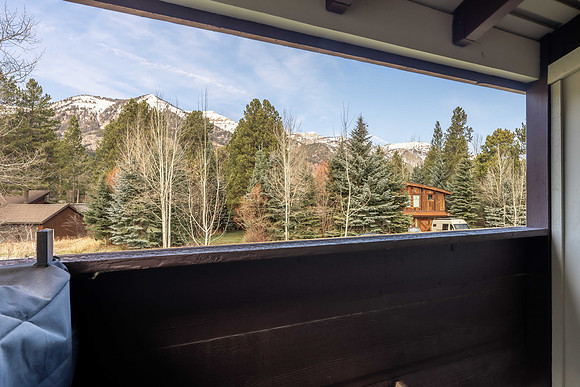 AlpineFir722_JGPhoto-11 copy