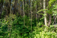 Lot40SnowKing_JGPhoto-9