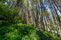 Lot40SnowKing_JGPhoto-6