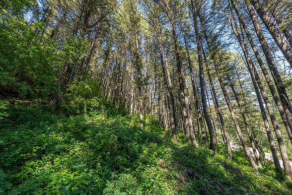 Lot40SnowKing_JGPhoto-6