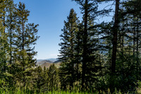 Lot40SnowKing_JGPhoto-14