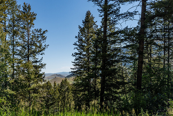 Lot40SnowKing_JGPhoto-14