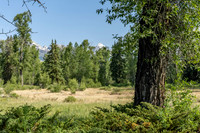 155BuckMountain_JGPhoto-10