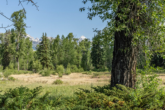 155BuckMountain_JGPhoto-10
