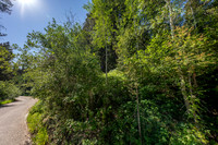 Lot40SnowKing_JGPhoto-12