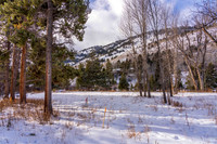 5075RainbowTrout_JGPhoto-3