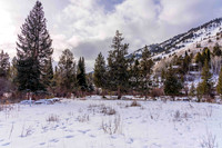 5075RainbowTrout_JGPhoto-4