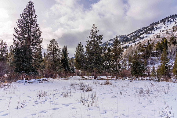 5075RainbowTrout_JGPhoto-4