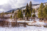 5075RainbowTrout_JGPhoto-5