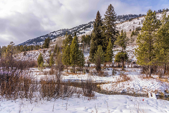5075RainbowTrout_JGPhoto-5