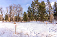 5075RainbowTrout_JGPhoto-7