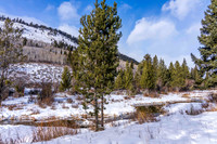 5075RainbowTrout_JGPhoto-8