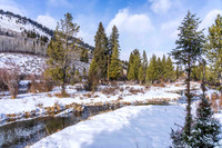 5075RainbowTrout_JGPhoto-9