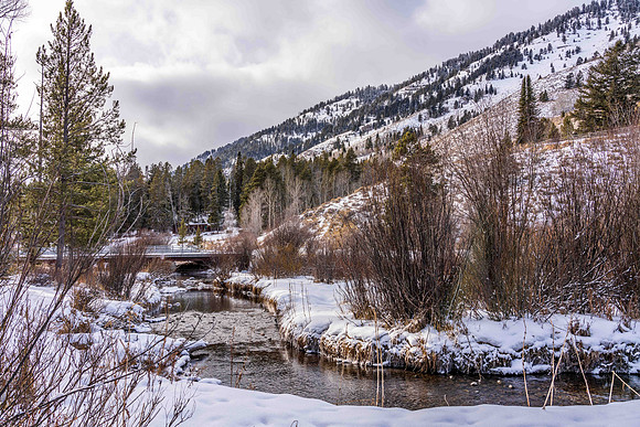 5075RainbowTrout_JGPhoto-11