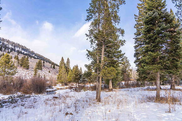 5075RainbowTrout_JGPhoto-13
