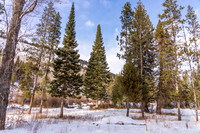 5075RainbowTrout_JGPhoto-14