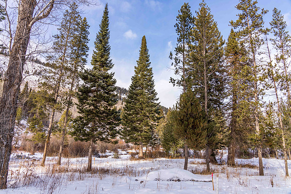 5075RainbowTrout_JGPhoto-14