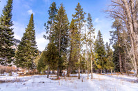 5075RainbowTrout_JGPhoto-15