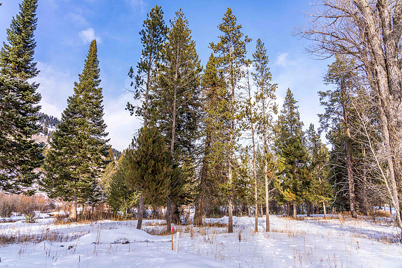5075RainbowTrout_JGPhoto-15