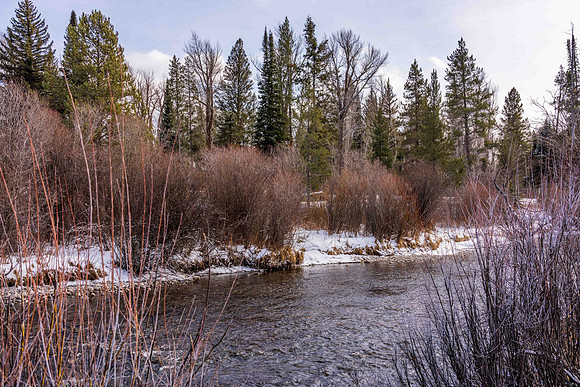 5075RainbowTrout_JGPhoto-18